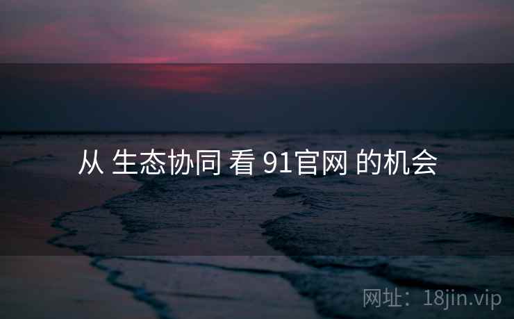 从 生态协同 看 91官网 的机会  第1张