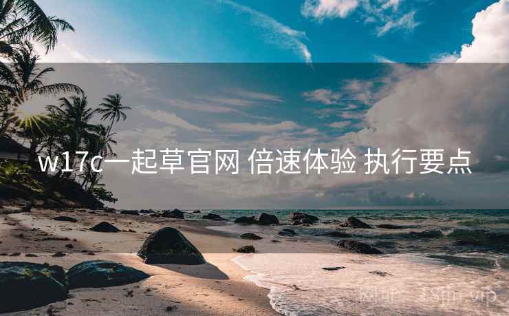 w17c一起草官网 倍速体验 执行要点  第1张
