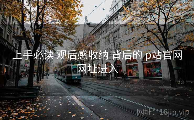 上手必读 观后感收纳 背后的 p站官网网址进入 第1张 上手必读 观后感收纳 背后的 p站官网网址进入 第1张