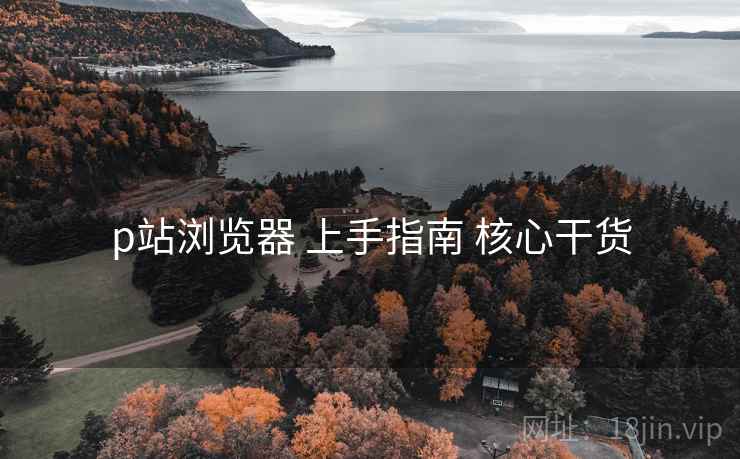 p站浏览器 上手指南 核心干货 第1张 p站浏览器 上手指南 核心干货 第1张