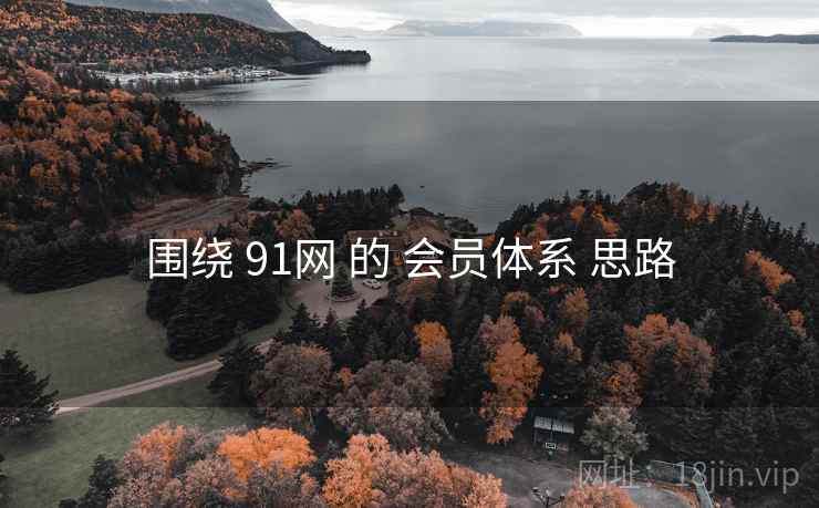 围绕 91网 的 会员体系 思路 第2张 围绕 91网 的 会员体系 思路 第2张